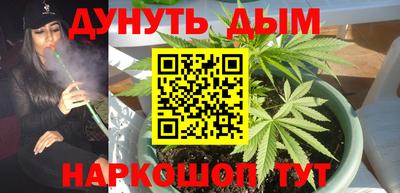 стафф Кимры