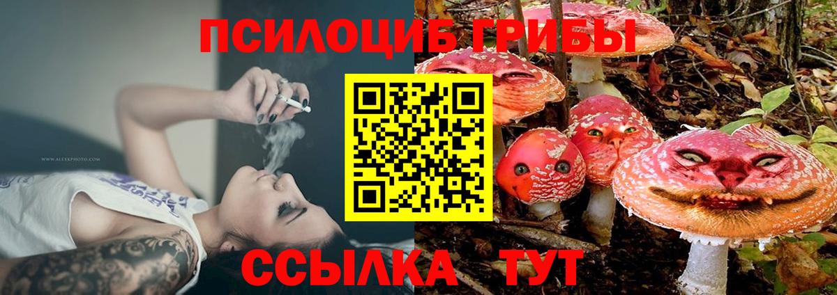 Псилоцибиновые грибы GOLDEN TEACHER  Вход с VPN  Кудымкар 