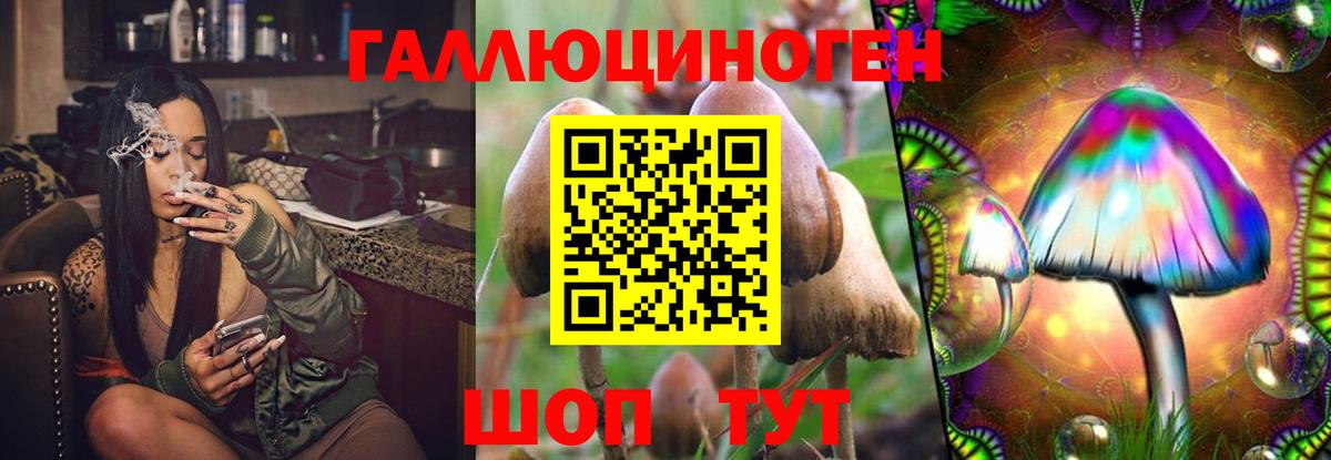 Галлюциногенные грибы Cubensis Кудымкар